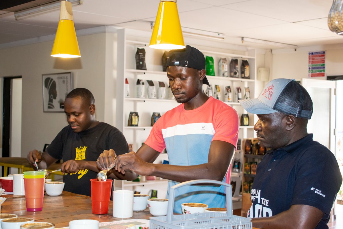 African Coffee Roasters tweet media