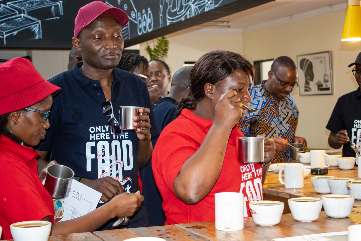 African Coffee Roasters tweet media