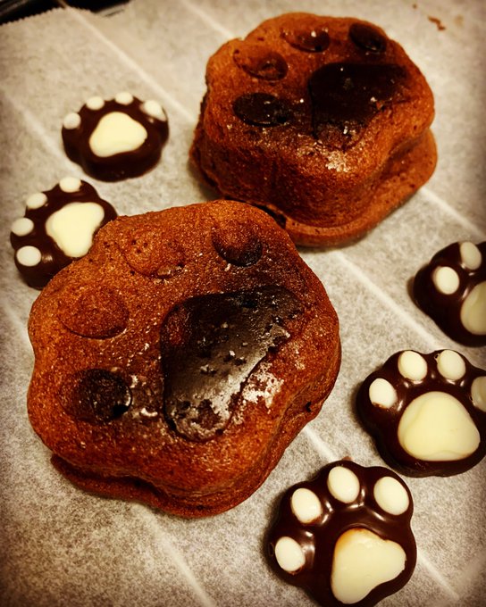 今年のバレンタインチョコです 