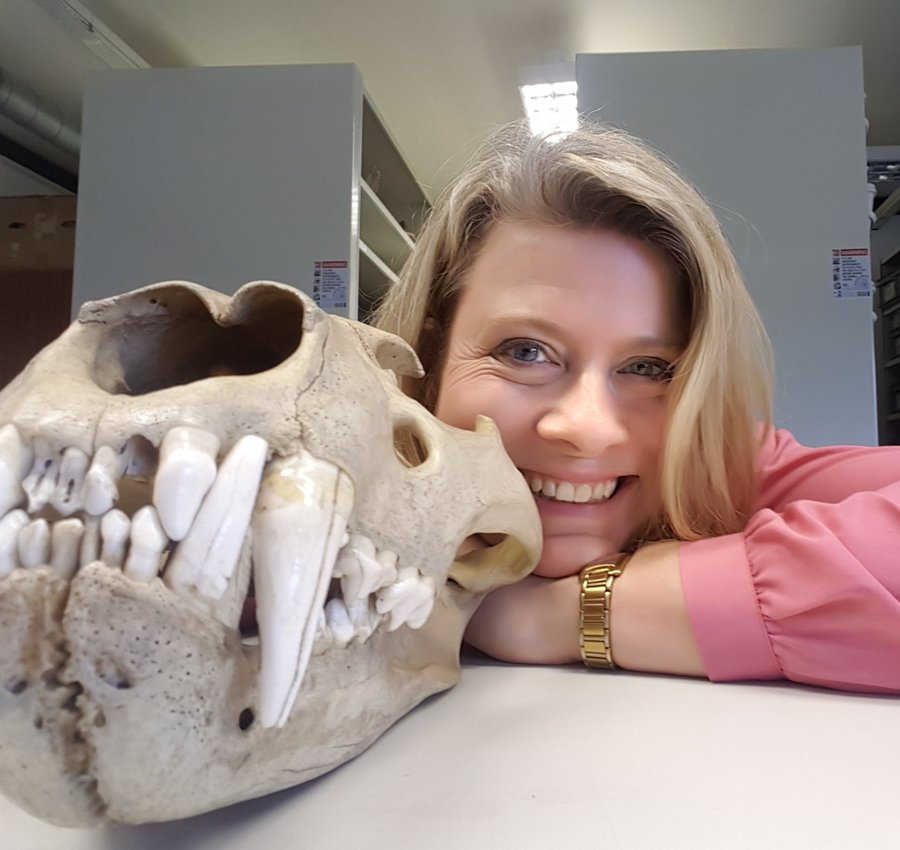 RHULBioSci's tweet photo. Centre for Ecology, Evolution &amp; Behaviour @RHULBioSci is growing! We are delighted to welcome Prof Danielle Schreve's group from @RHULGeography including @LHemmingham, @MollieMills96, and @Rinaquinlan. Looking forward to learn more about your work! 🦌🐺🦬 https://t.co/1mpQpdG8aL https://t.co/RJzyhX3Z9S