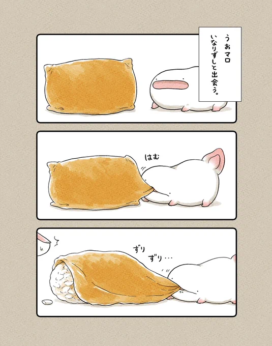 うおマロ、いなりずしと出会う。 