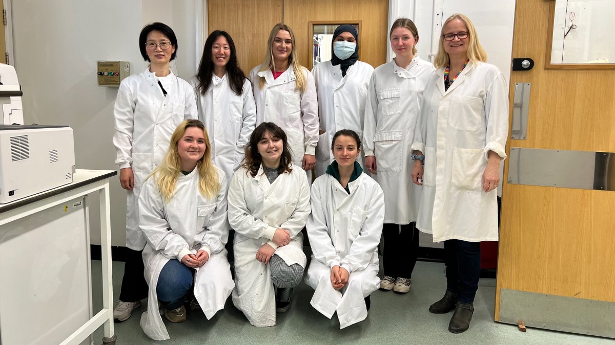 Bristol Platelet Group tweet media