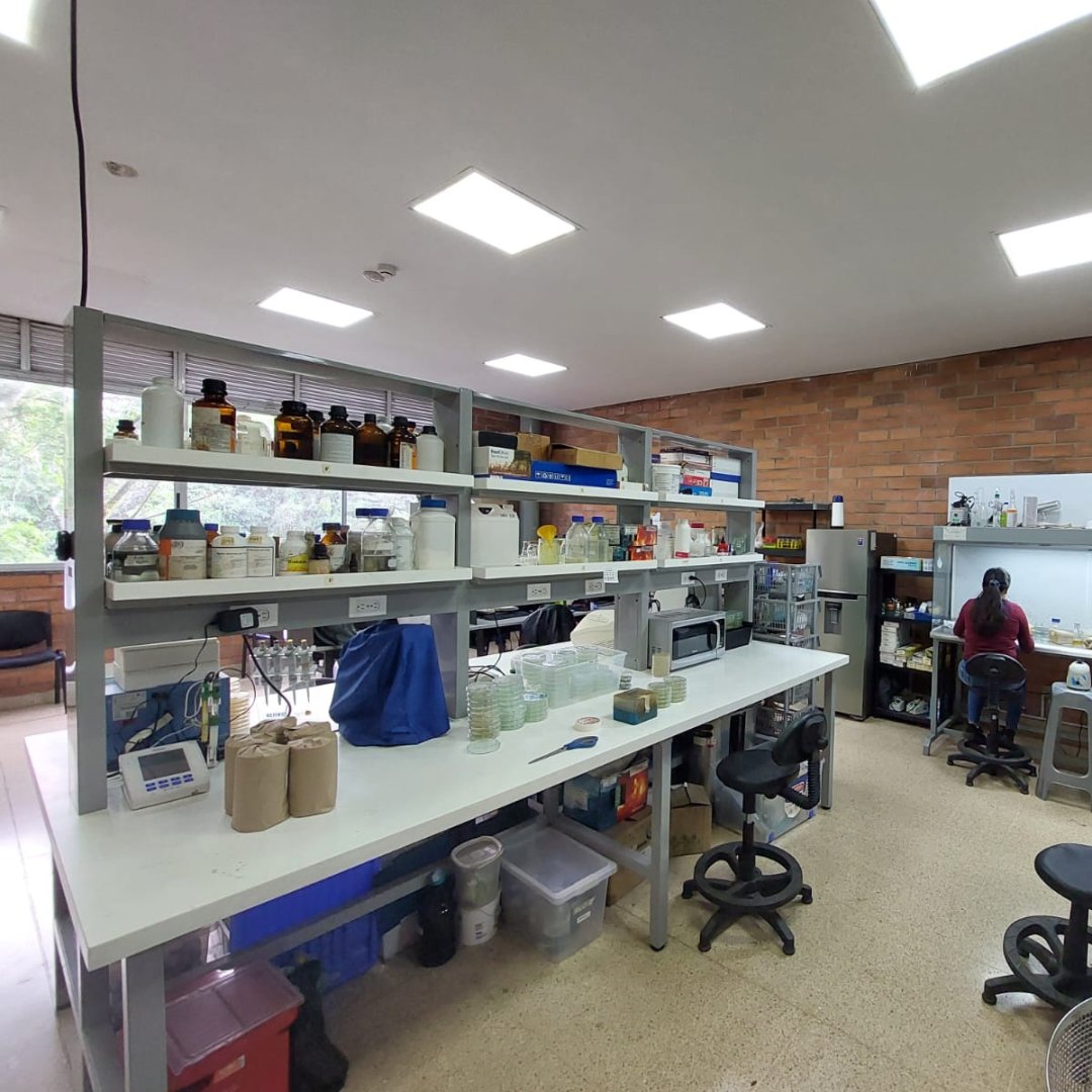emisoraudea's tweet photo. 🔬⚗️ La @UdeA formaliza una nueva spin-off: Su nombre, Inbacter (dedicada al desarrollo y producción de bioinsumos de uso agrícola o bioambiental a partir de conocimientos avanzados en bacteriología- desarrollan tecnologías que aprovechan la diversidad bacteriana. https://t.co/iZFHNigbBK