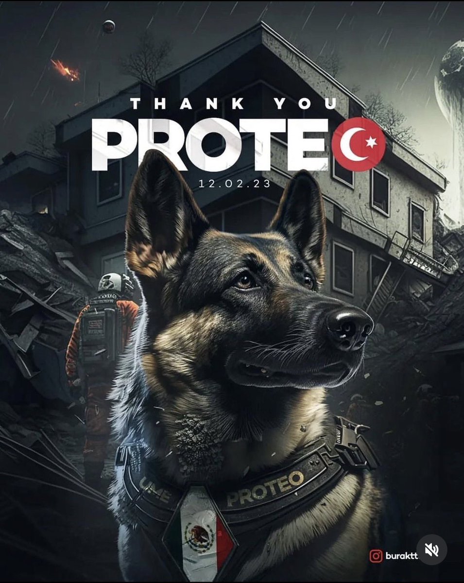 Namanya : Proteo 
Dia datang dari Meksiko untuk membantu menyelamatkan korban2 gempa di Turki dan bekerja tanpa lelah selama berhari-hari siang dan malam. 

Hari ini Proteo kehilangan nyawanya krna dia tertimpa reruntuhan sewaktu mencari survivor korban gempa. 

HERO !