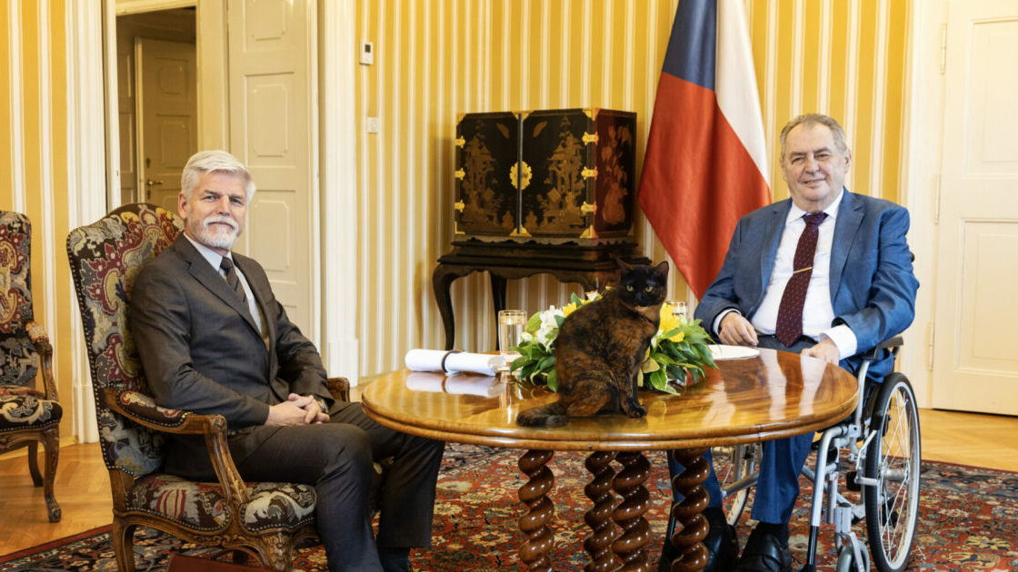 Micka_Hrad's tweet photo. Nástup do nejvyšších pater politiky. Na společné schůzce se jako hlavní téma ukázalo přemnožení krtků, štěnic a dalších drobných škůdců. https://t.co/BRJk7JYFjU