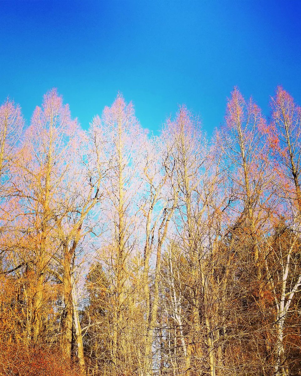 kevingoodmanBBN's tweet image. #SpringIsNear
#ChagrinFalls #ChagrinRiver