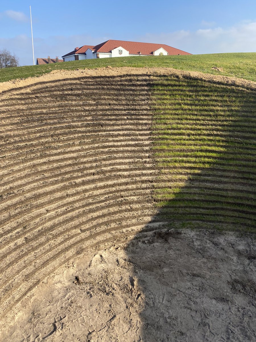 Two weeks of dry weather ⁦<a href="/Hillside_GC/">Hillside Golf Club</a>⁩ and it’s the perfect time to unleash the resident arsonist  with his flame thrower on the bunkers faces. Great work 👍🏻