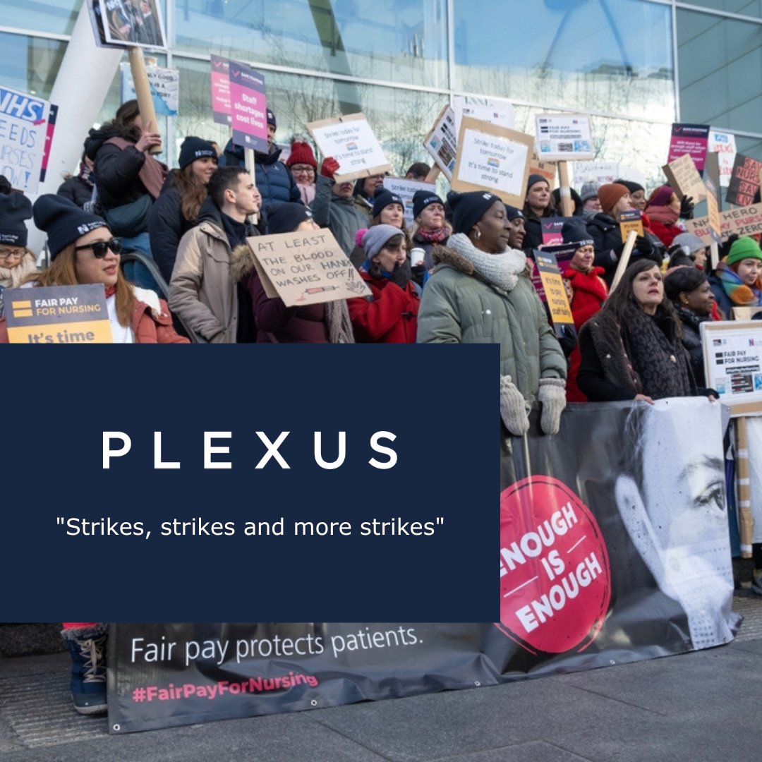 Plexus Law tweet media