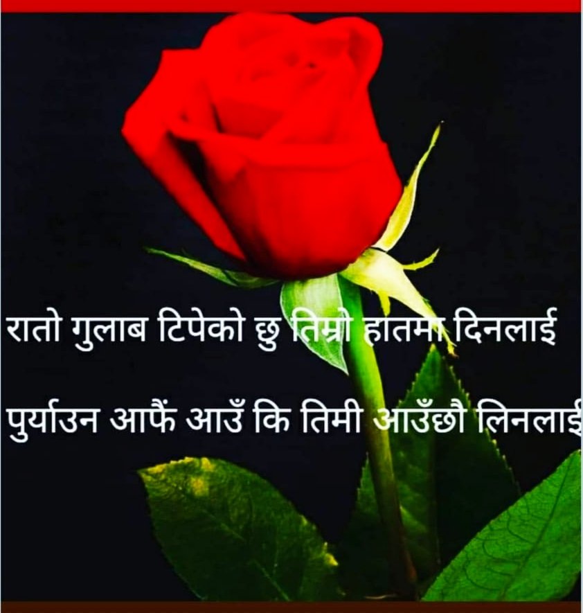 जम्मा दुईवटा प्रेम - पत्र लेखिएछ जिन्नगीमा । 😍😍
एउटाले चै "मैले बिहे गरे नि तिम्ले लेखिदिएको चिठीले" भन्यो, अर्को थाहा छैन ।😍😍😍