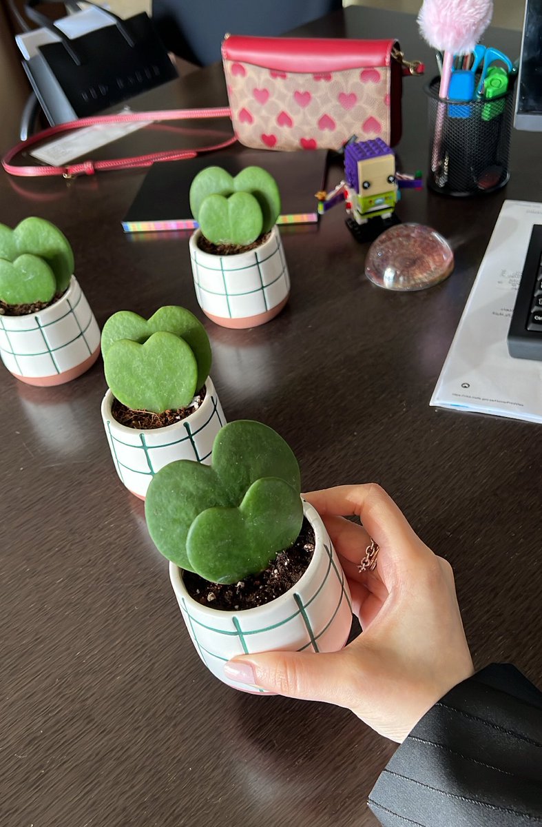 ســاره tweet media