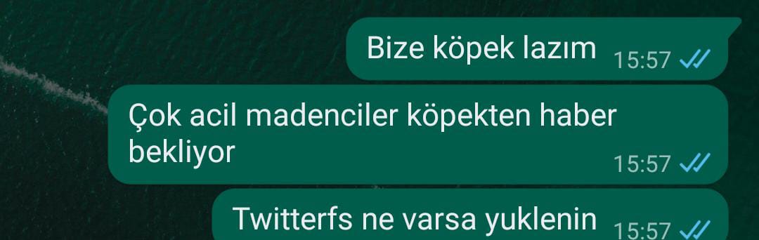 Kahramanmaraş Onikişubat Şazibey Mh. Selam Apartmanı. Madencilerin köpeğe ihtiyacı var.
#deprem #yardım #Kahramanmaras #şazibey <a href="/haluklevent/">Haluk Levent ( Ahbap Ekibi )</a> <a href="/otekidunyali/">meric keskin</a> <a href="/OguzhanUgur/">Oğuzhan Uğur</a> <a href="/DepremDairesi/">AFAD Deprem</a>