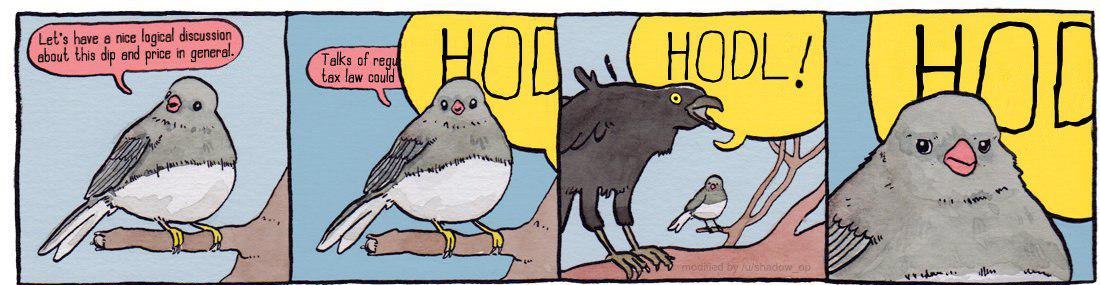 Which crypto is best to HODL in 2023?