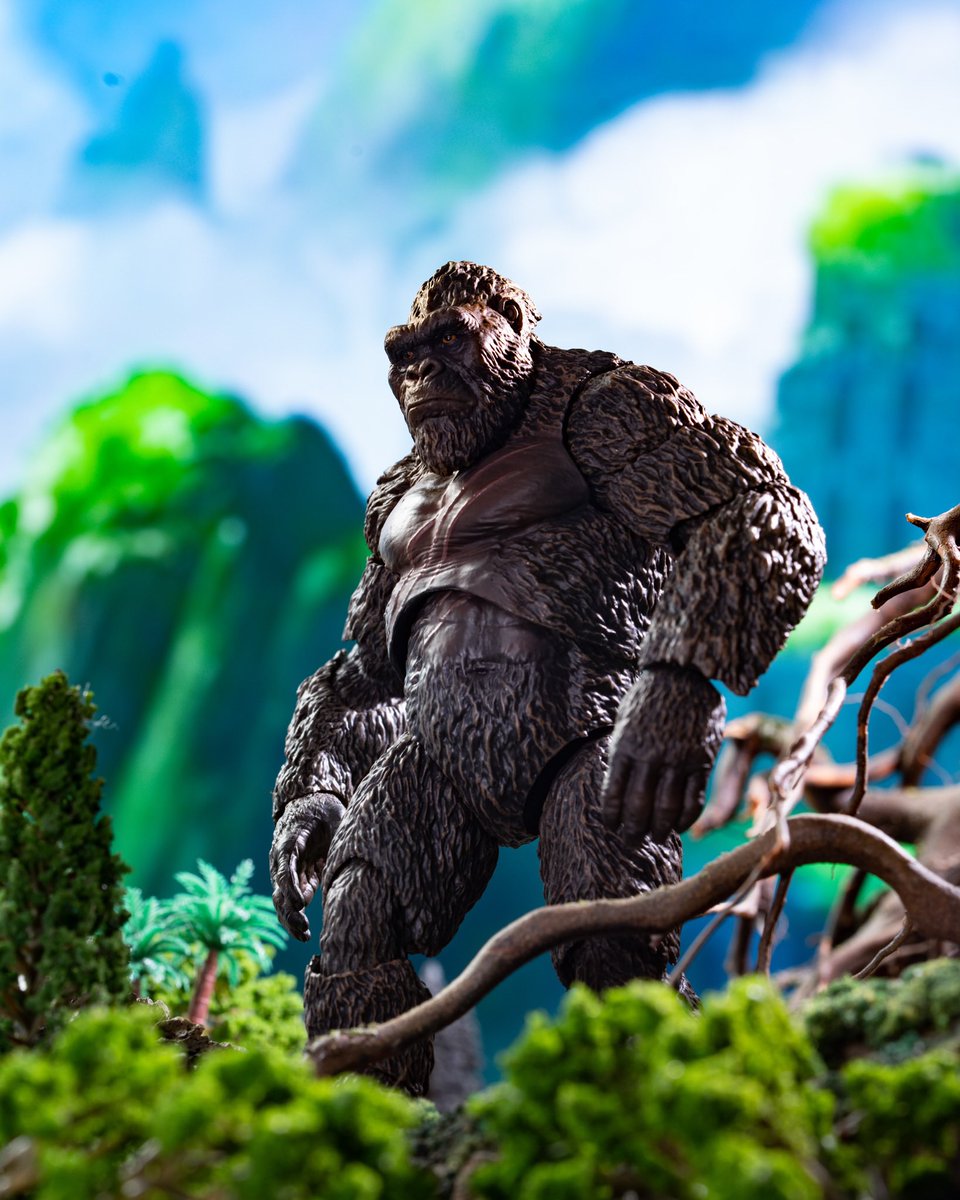 joakira09's tweet photo. King kong by @HiyaToys. Can’t wait for rodan #toyphotography https://t.co/NpoaYSwC2X