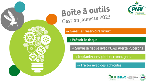 AisneItb's tweet photo. quelques infos afin de contrôler au mieux la #jaunisse ce printemps. Edition de fiches spécifiant la meilleure démarche a suivre pour en limiter l'incidence  @_MissBetter et à votre disposition une rubrique boite à outil disponible sur notre site @ITBetterave https://t.co/TZ5vov5jk8
