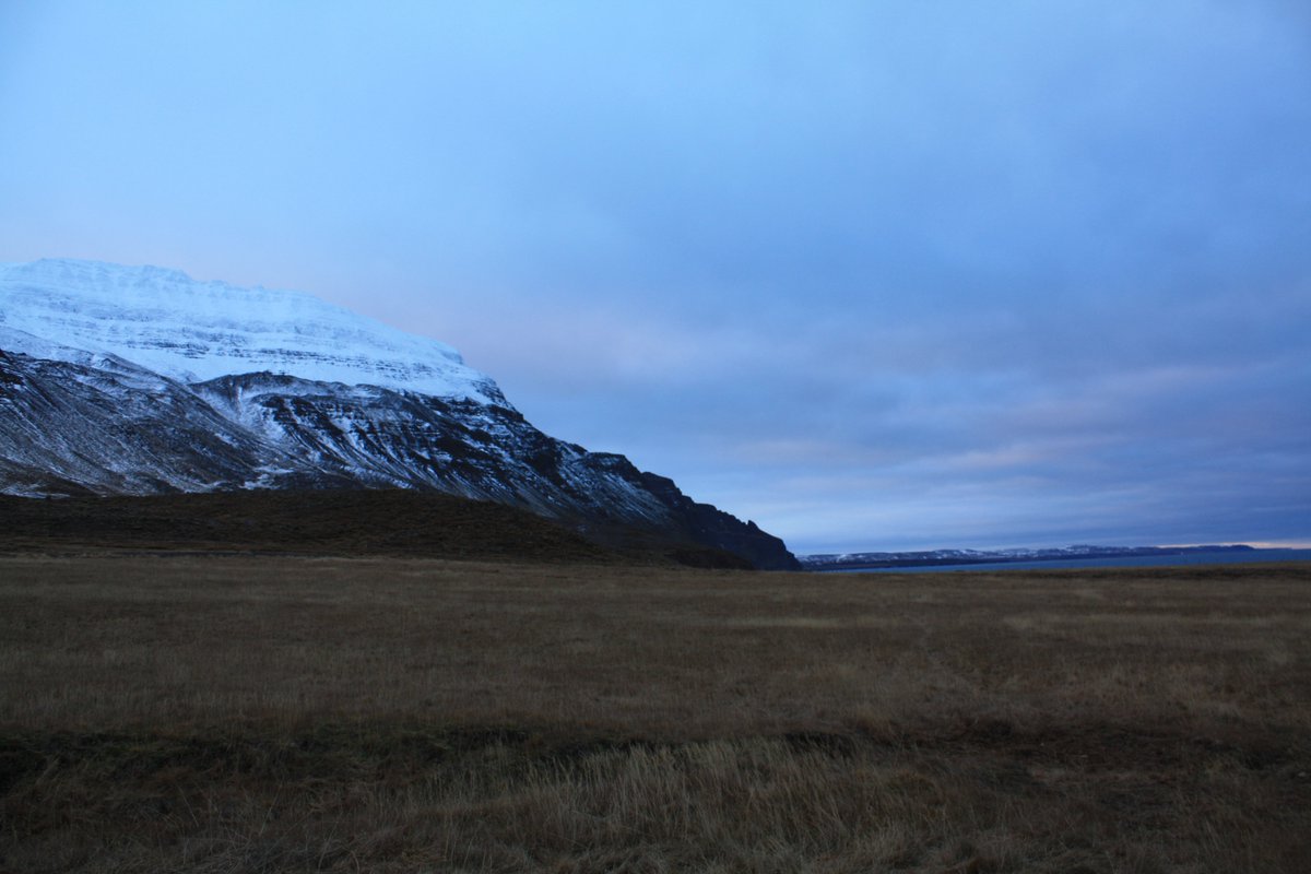 Viking Studies Research Group tweet media