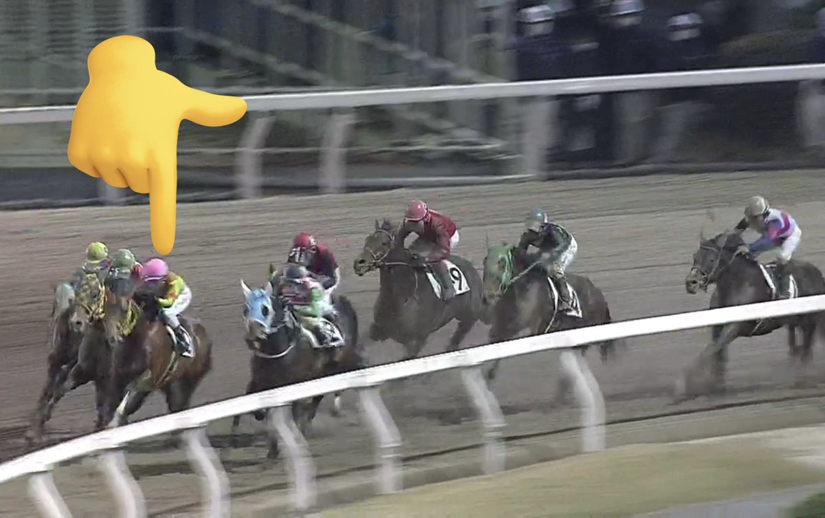 あと、同じレースに出走するヒノデテイオーって、同じオーナーのナナカマドカのように、ある程度クラスを上げてから復帰する意向なんですかね。似たような戦績のミステリーボックスなんかは、転入資格を満たすと即座に引き上げたので、この馬が3勝してからも在籍しているのは意外。これも動向に注目。