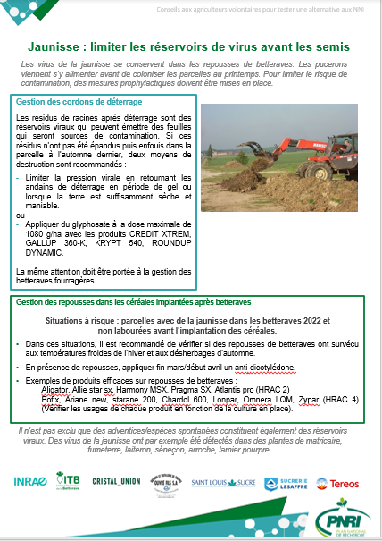 AisneItb's tweet photo. quelques infos afin de contrôler au mieux la #jaunisse ce printemps. Edition de fiches spécifiant la meilleure démarche a suivre pour en limiter l'incidence  @_MissBetter et à votre disposition une rubrique boite à outil disponible sur notre site @ITBetterave https://t.co/TZ5vov5jk8