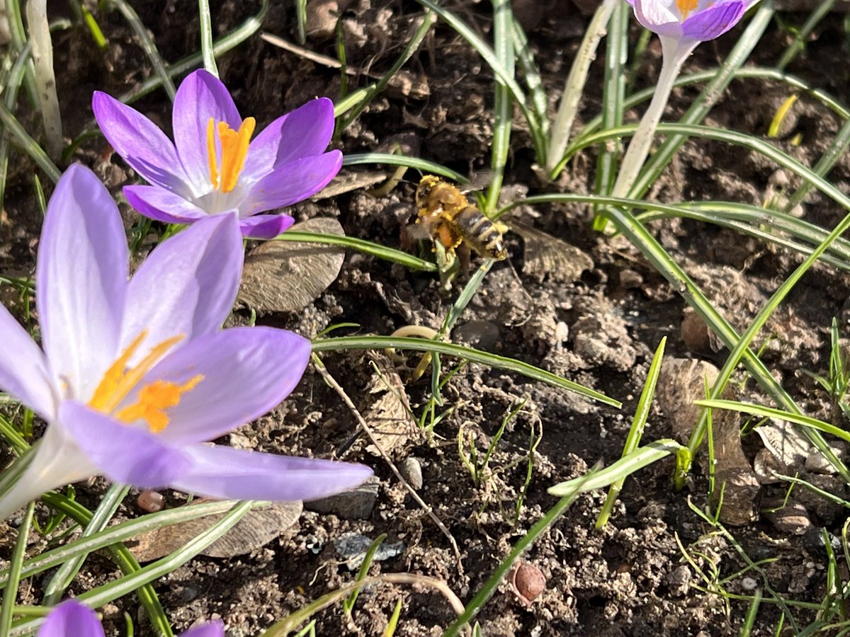 j_hochmuth's tweet photo. #Flugobjekt #Februar https://t.co/uiJtKOlco9