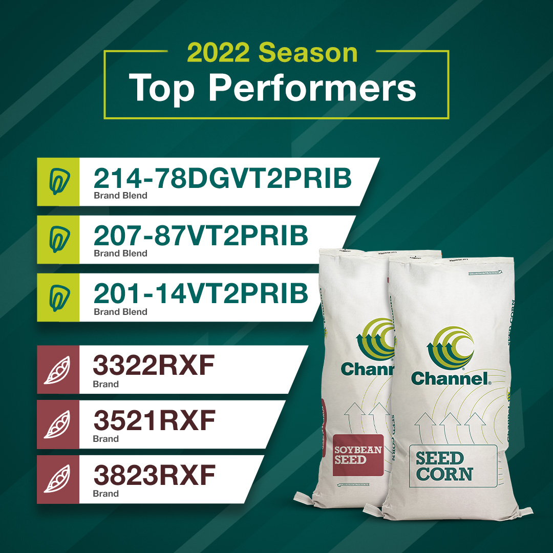 Channel Seed tweet media