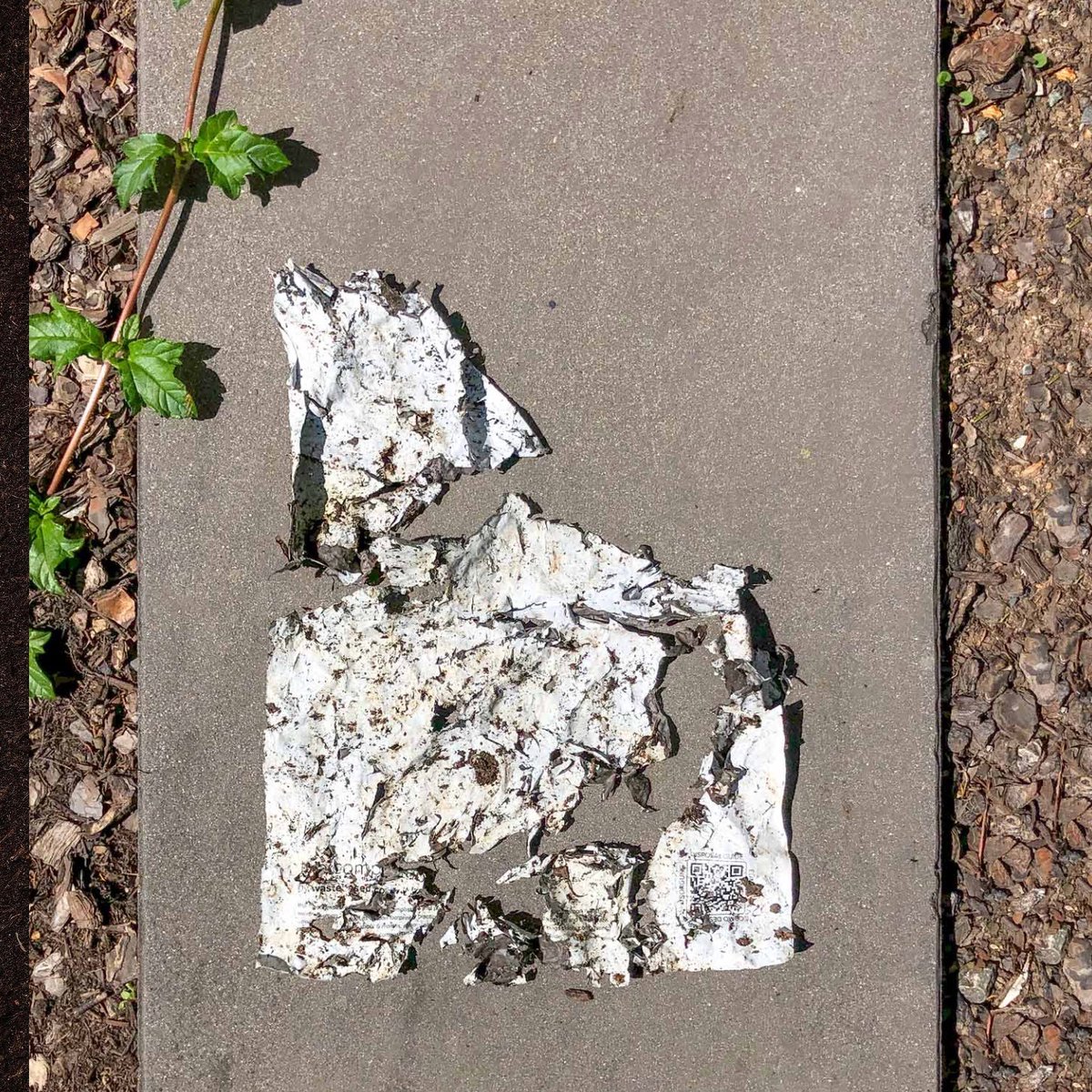 Apart from our circular and recycled packaging we also work with a fully compostable mailer. This result is just after 30 days of degrading 🌱