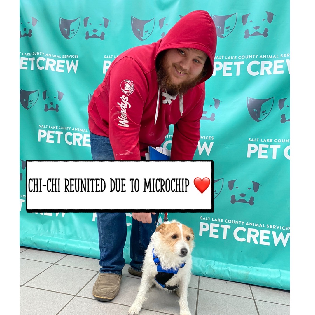 SLCoAnimals's tweet image. 5 yrs after getting microchipped, Chi-Chi’s came in hand. #slco #adoptutahpets #mondaymorning