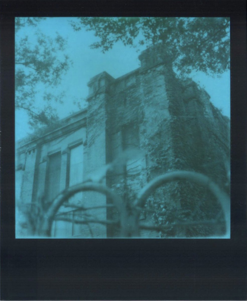 dafu8755's tweet image. #お写んぽ
#ポラ
#ポラロイド
#Polaroid

🎞 Polaroid Blue 600 Film