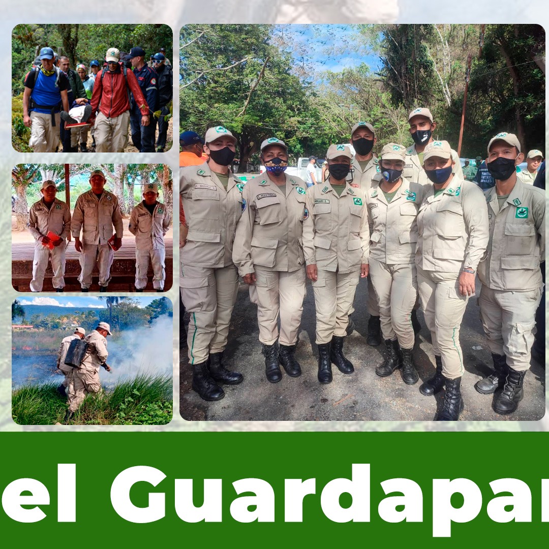 InparquesVzla's tweet photo. #TalDiaComoHoy💚 Celebramos el Día del Guardaparques los cuales desplegan todas sus habilidades, destrezas y conocimientos para manejar las áreas naturales protegidas. Todos tienen la misma meta: Proteger La Naturaleza🌾

#JuventudIntegraciónYPaz 

@MinecOficial 
@JosueLorcaV https://t.co/lJuhUTS060