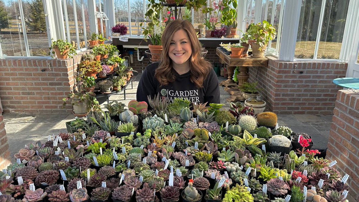 AllForGardening's tweet photo. #Garden #Answer: HUGE #Succulent ...
#Beautiful #Bush #Dirt #Diy #Earth #Fall #Flower #GardenAnswer
https://t.co/5iEetzwqZK https://t.co/yWOcGnwKrc
