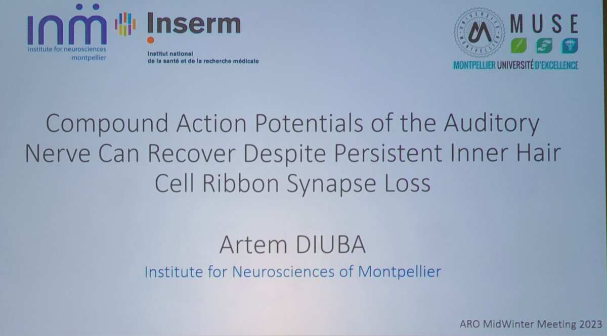 Affortit_C's tweet photo. Congratulation Artem for this amazing talk. @Hearing_INM @INM_Montpellier @AROMWM #ARO2023 https://t.co/kxXw64JOZ3