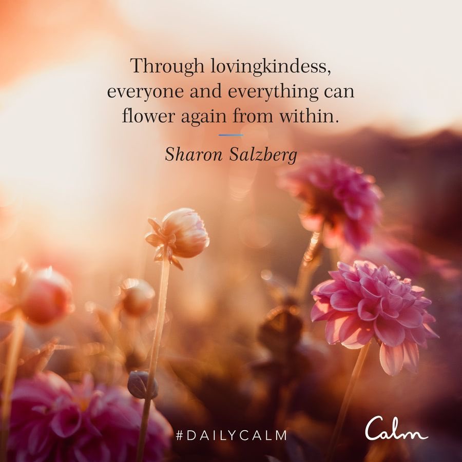 DrJECJrMD's tweet photo. Started my day with a great daily Calm. Consider the power of lovingkindness. Listen for free. https://t.co/ad2bfPjdeZ https://t.co/MMQZ6LkxPM