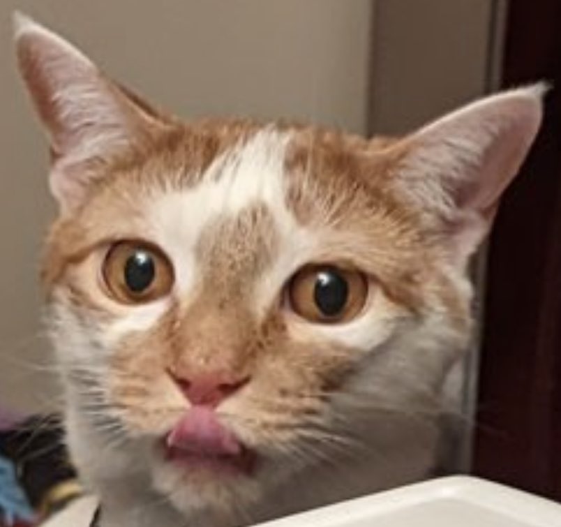 short Huey/Long jacket tweet media