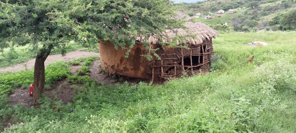 EthekwiniNews's tweet photo. PICTURES: The Mkhwanazi family in Msinga are pleading for assistance in the form of a shelter. So dire is their situation that according to Simo Mkhwanazi, when it rains, the children are forced to skip school because everything in the house gets wet. https://t.co/cjQTGRVjAN