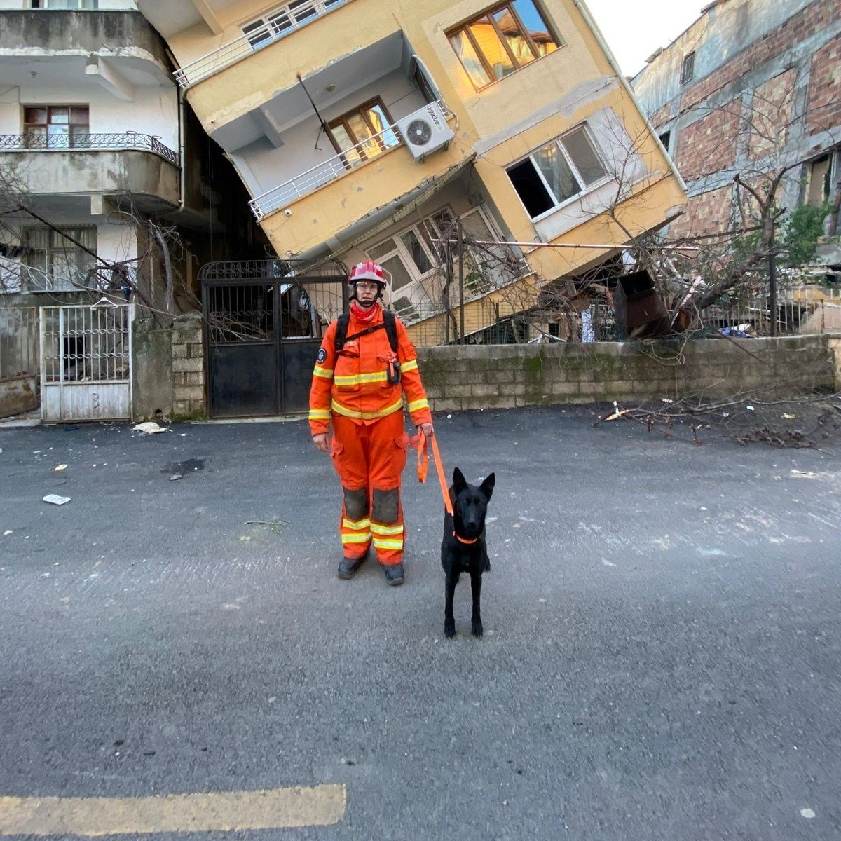 FCDOGovUK's tweet photo. Not all heroes stand on two legs 🐕

UK International Search and Rescue dogs, including Davey and Vesper, have been working day and night in Turkey, helping to save people affected by the earthquake.

Davey visited the FCDO in December, where he met @JamesCleverly. https://t.co/Cl3RFlTLmv