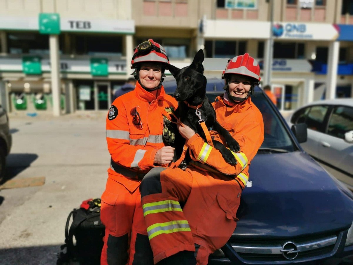 FCDOGovUK's tweet photo. Not all heroes stand on two legs 🐕

UK International Search and Rescue dogs, including Davey and Vesper, have been working day and night in Turkey, helping to save people affected by the earthquake.

Davey visited the FCDO in December, where he met @JamesCleverly. https://t.co/Cl3RFlTLmv