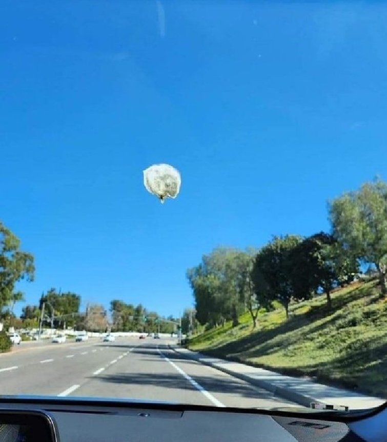 chile_espanol's tweet photo. Diputado Diego Schalper siguió a un globo chino durante 200 kilómetros, hasta darse cuenta que era un excremento de pájaro en su parabrisas. #Vacaciones2023 https://t.co/XoMwBcBWpa