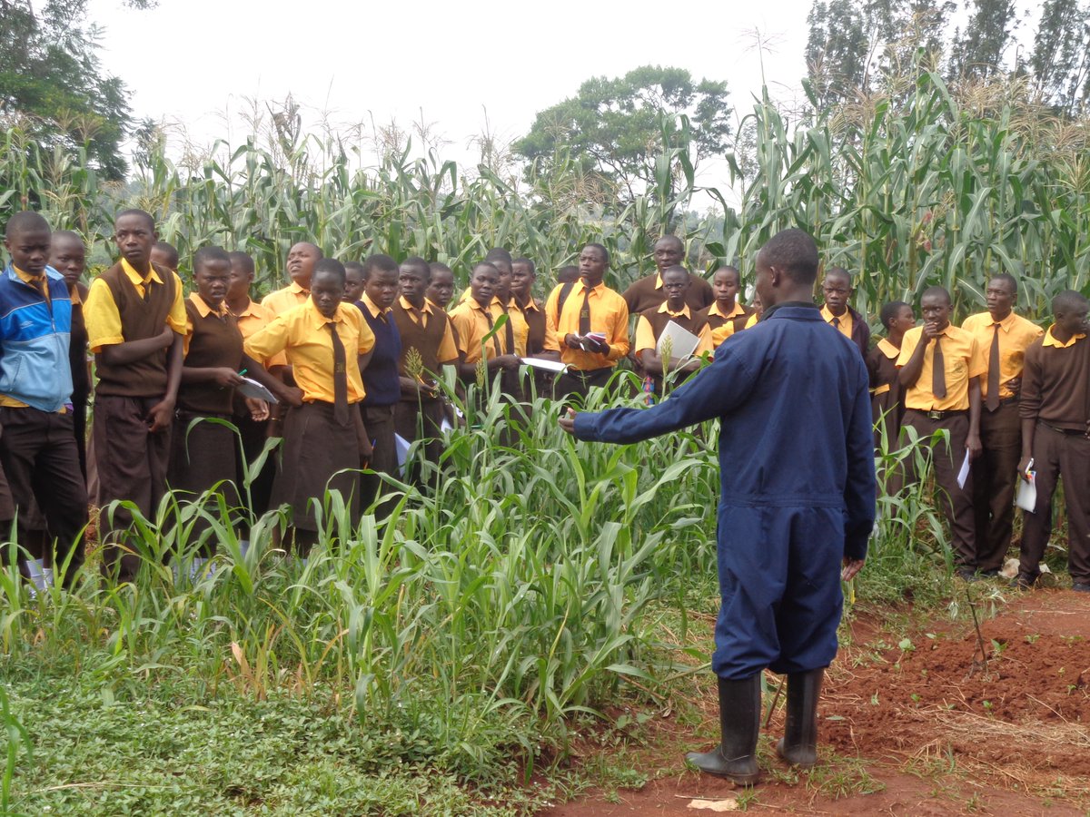 scope_kenya_'s tweet photo. Does Education Influence Choice of Agriculture as a Livelihood Career Among the Youth?
#YouthMarchforAgroecology
#YouthforAgroecology
#StrengtheningparticipationofYoungpeopleinSustainableLandUseManagement
#EmpoweringYouthwithAgroecologyKnowlegde
#YouthEmpowerment https://t.co/9qAd63kyIK
