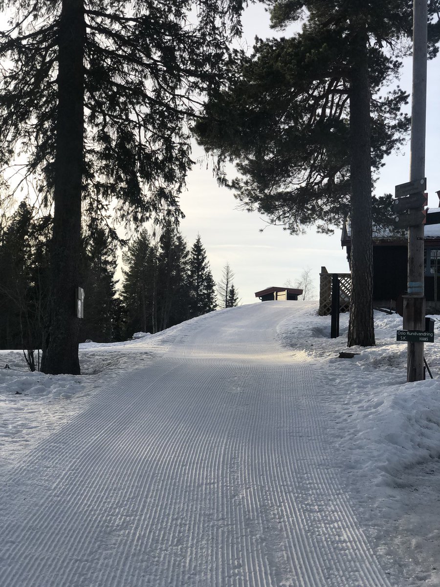 Espen klem eklem snabelen no on twitter rt skjennungstua sol og