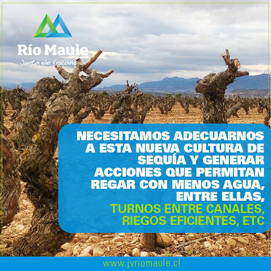 JVMRioMaule's tweet photo. 📌 Desde la semana pasada que les venimos contando la importancia de tener un cambio cultural frente al tema de la sequía. Una de las acciones es regar con menos agua 💦. Aquí les explicamos.
#jvrm #agricultura #agua #riego https://t.co/ddQhgEh0hz