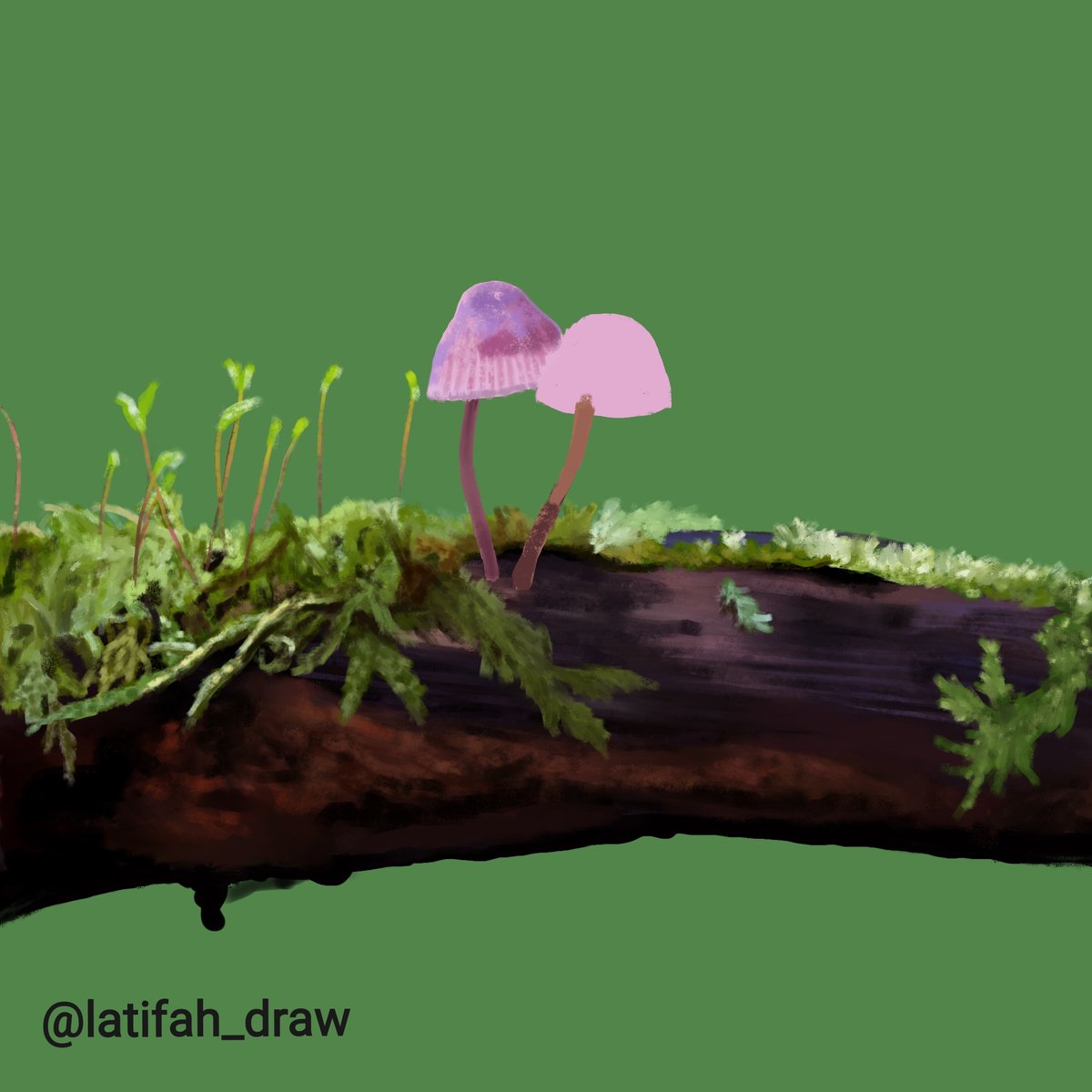 latifah_draw's tweet photo. #بروكرييت #بروكريت #رسم #رسمتي #فنية #الفن_الرقمي #الرسم_الرقمي #الرسم_الرقمي_على_الآيباد #الطبيعة #الغابة #فراشة #Procreate #procreateart #digitalart #drawing #draw #forest #butterfly #artist #artmash #art https://t.co/8m1P8LclNH