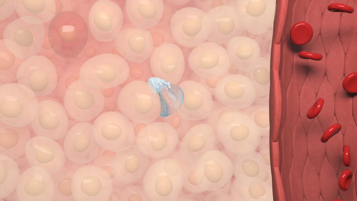 MicroRobotLab's tweet image. 🔸CELLOIDS UPDATE #1🔸
The #CELLOIDS PROJECT aims at realizing cell-inspired #microrobots that can move inside soft tissues.
Our microrobots will have four features.
@ScuolaSantAnna
@ERC_Research
🇪🇺 GA:948590
(1/2)👇
