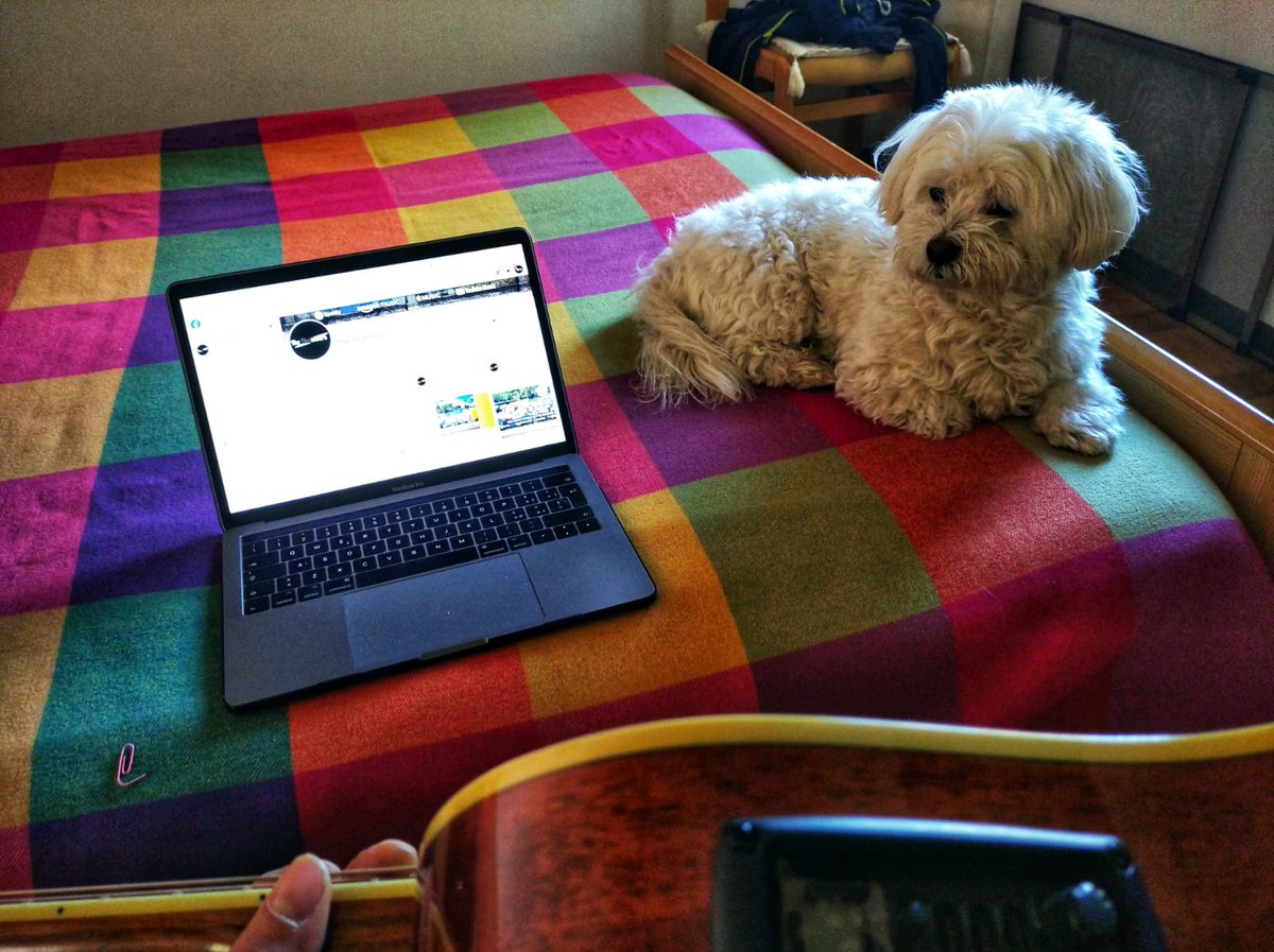 😍😍😍

#TheTealmoors #Composing #NewTune #RockAndRoll #petsitter