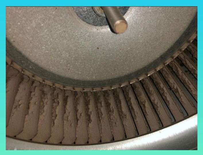 According to the #TexasAandM Study 
“1/8th of an inch of dirt and dust build-up on the blower wheel can reduce airflow by up to 30%”
One of the numerous reasons to have your furnace maintained every year.
#furnacemaintenance #hvactips #Cleanair #cleanhome #Tropical