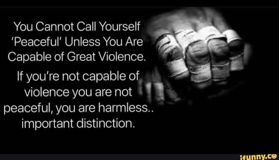 Renzo Gracie tweet media
