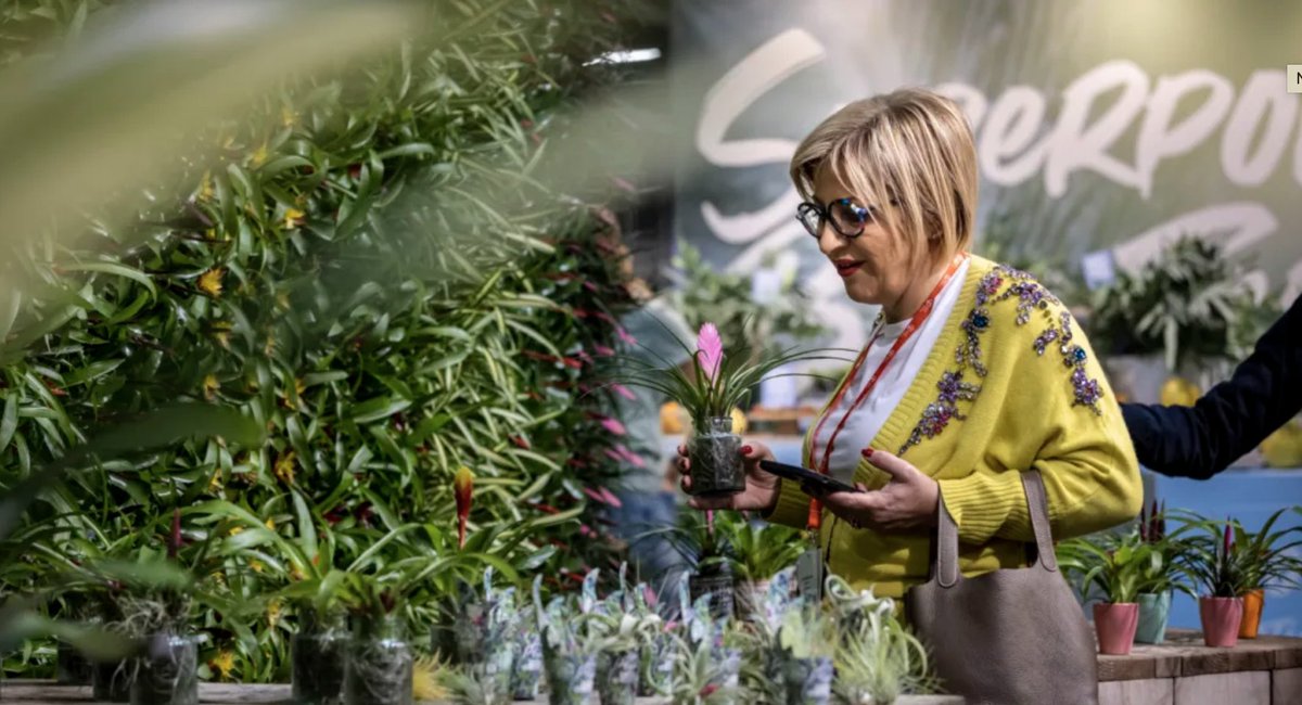 Trade Fairs by Royal FloraHolland tweet media