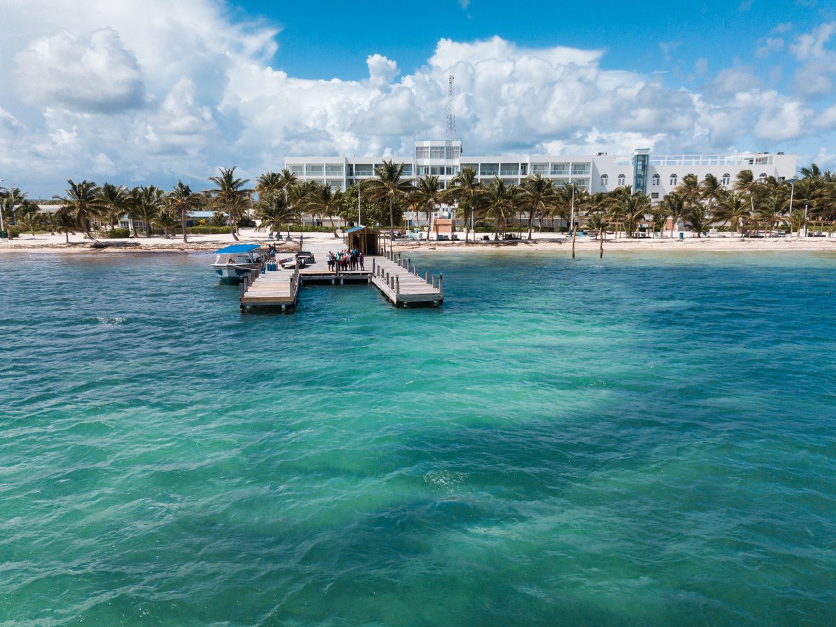 Belize Dive Haven tweet media