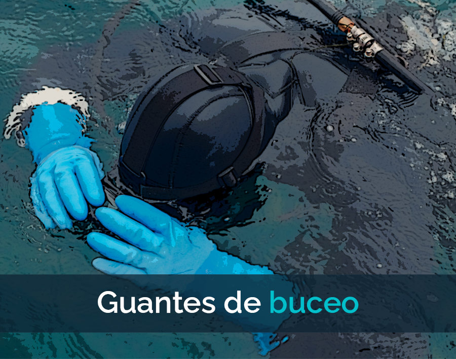 VidaBuceo's tweet photo. Top 5 guantes de buceo en 2023 https://t.co/QRMy7pRIYq https://t.co/TItqXd1THw