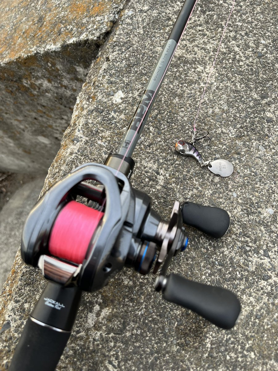 imoto6159's tweet photo. 今年初魚はナマズでした
バスは春までおらんかな…
#ナマズ
#鯰
#デラクー
#deracoup
#jacall
#slxdcxt https://t.co/bgoQdLtIoD