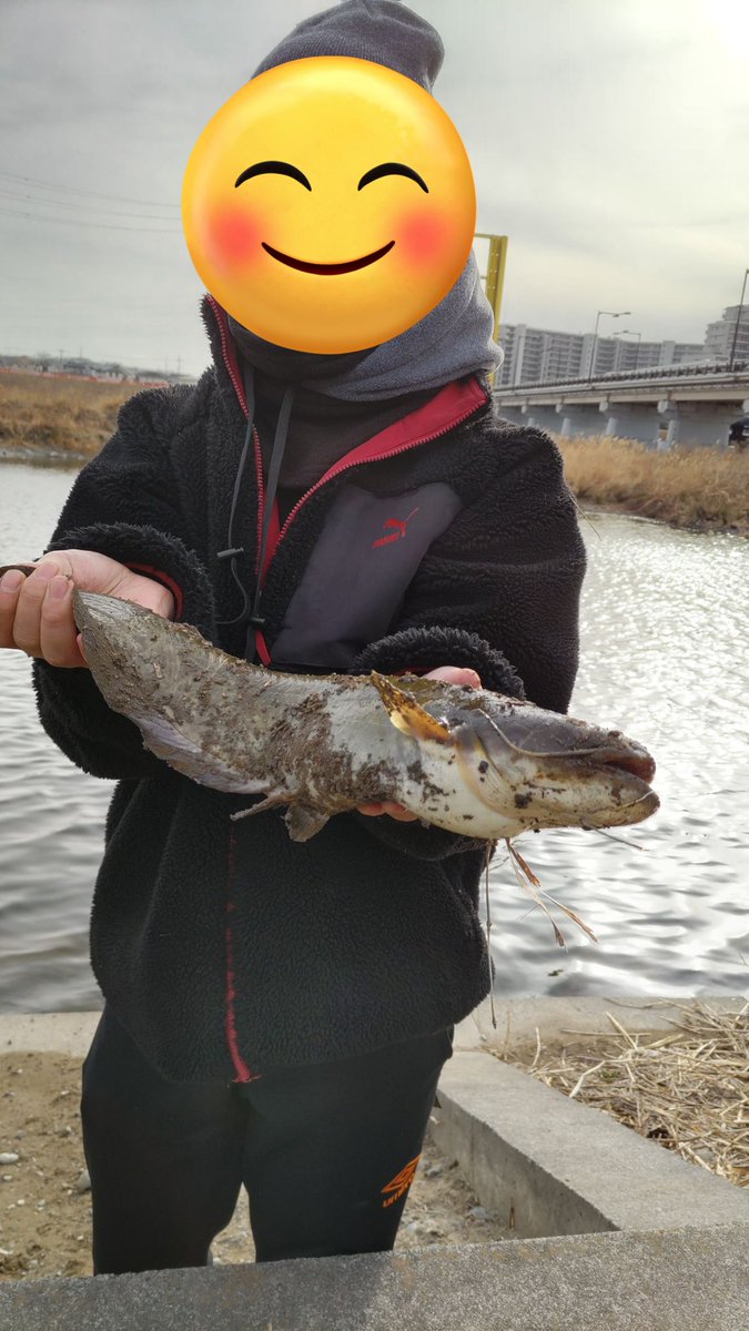 imoto6159's tweet photo. 今年初魚はナマズでした
バスは春までおらんかな…
#ナマズ
#鯰
#デラクー
#deracoup
#jacall
#slxdcxt https://t.co/bgoQdLtIoD