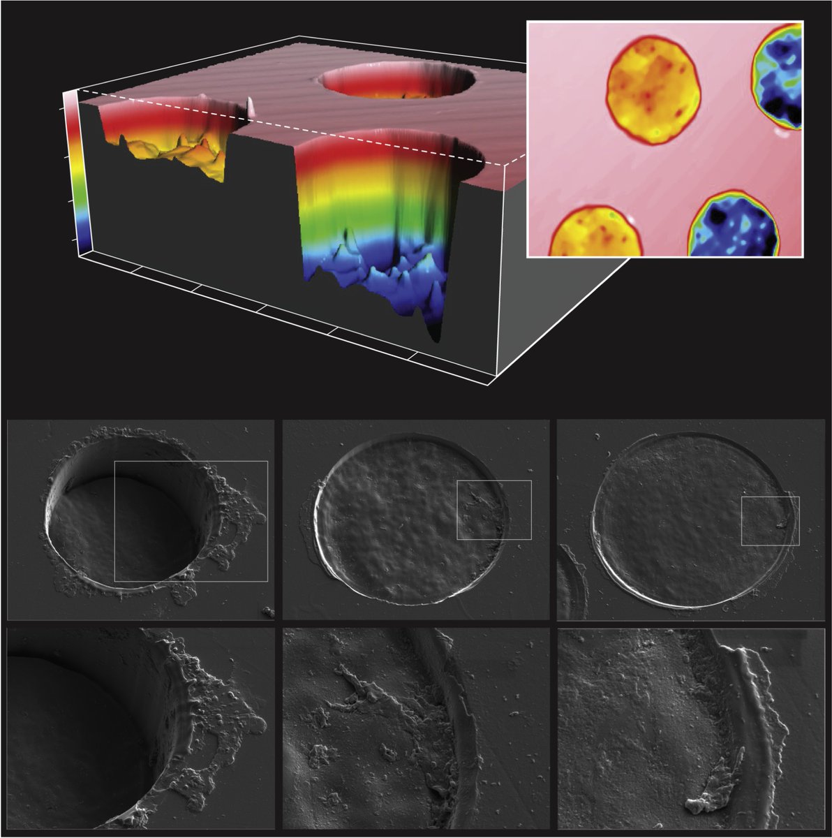 Oral technical sessions <a href="/nawla2023/">NAWLA2023</a> cover a wide range of topics: laser fundamentals, new instrumentation/method developments, U-Pb geochronology, and applications in a wide range of topics. More info @ nawla2023.nd.edu; Early registration deadline of March 1st