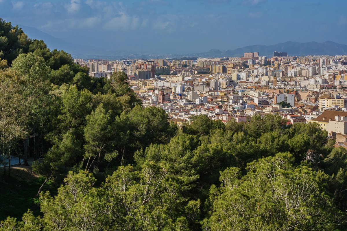 Christian Machowski tweet media